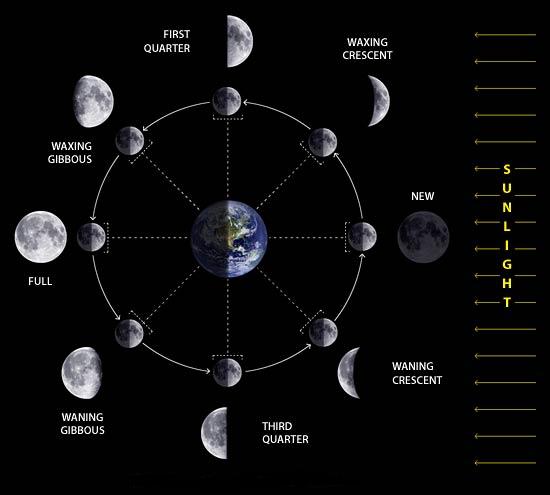 pictures of moon phases in order. Moon Phases in Order.